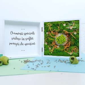 Aranjament cu licheni si flori uscate personalizat in cutie de lemn pictata manual