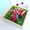 Aranjament licheni si floricele in cutie personalizat cu mesaj